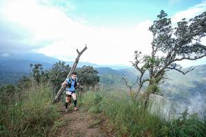 BIB: 
                            <button type="button" onclick="openModal(22372275)" class="btn btn-primary btn-sm float-right btn-popup" data-toggle="modal" data-target=".modal-high-quality">
                        <i class="fas fa-shopping-cart"></i> Add to Cart
                    </button>
                                            <button type="button" onclick="isThisMe(22372275, true)" class="btn btn-success btn-sm float-right btn-popup btn-isme hidden" data-toggle="tooltip" data-placement="bottom" title="นี่คือรูปของคุณใช่ไหม คลิกที่นี่เพื่อเอาเข้าอัลบั้ม">
                        <i class="fas fa-plus"></i> Add to album
                    </button>
                    <button type="button" onclick="isThisMe(22372275, false)" class="btn btn-warning btn-sm float-right btn-popup btn-isnotme hidden">
                        <i class="fas fa-ban"></i> Remove from album
                    </button>